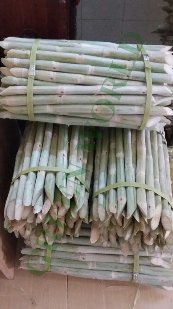 Замороженный сок сахарного тростника из Вьетнама по лучшей цене