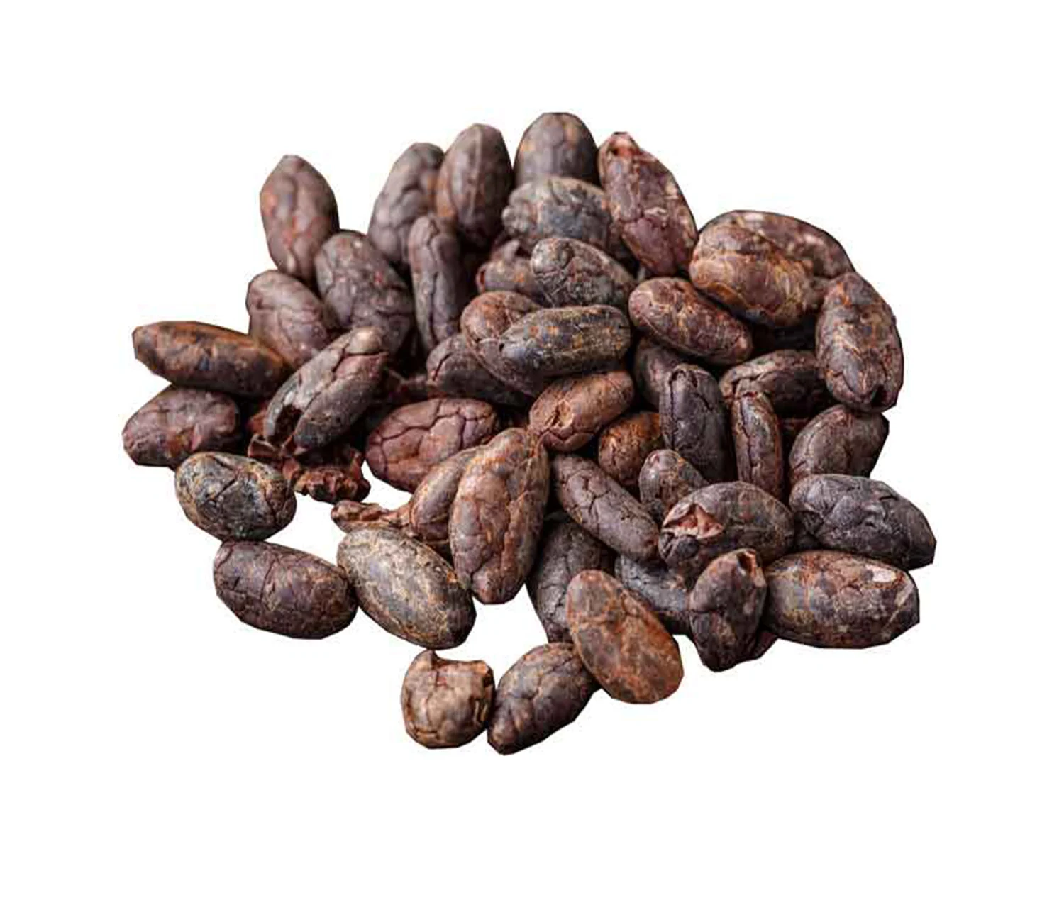 Quality Fresh Cocoa beans