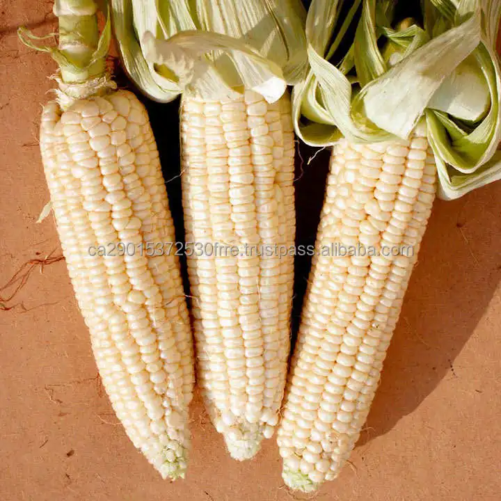 VESWE36384_3.jpg