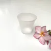 Translucent