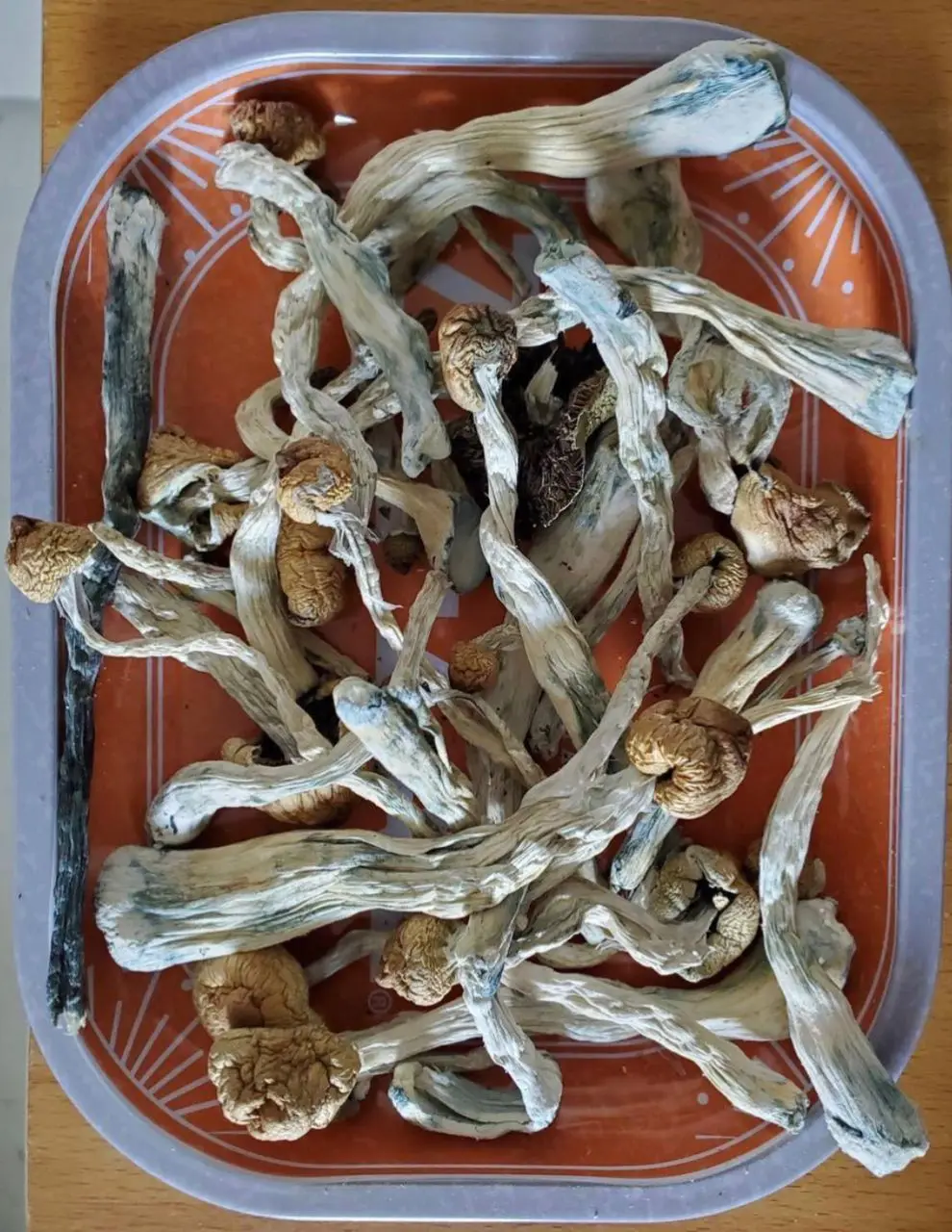 Лидер продаж натуральный сухой волшебные грибы для продажи