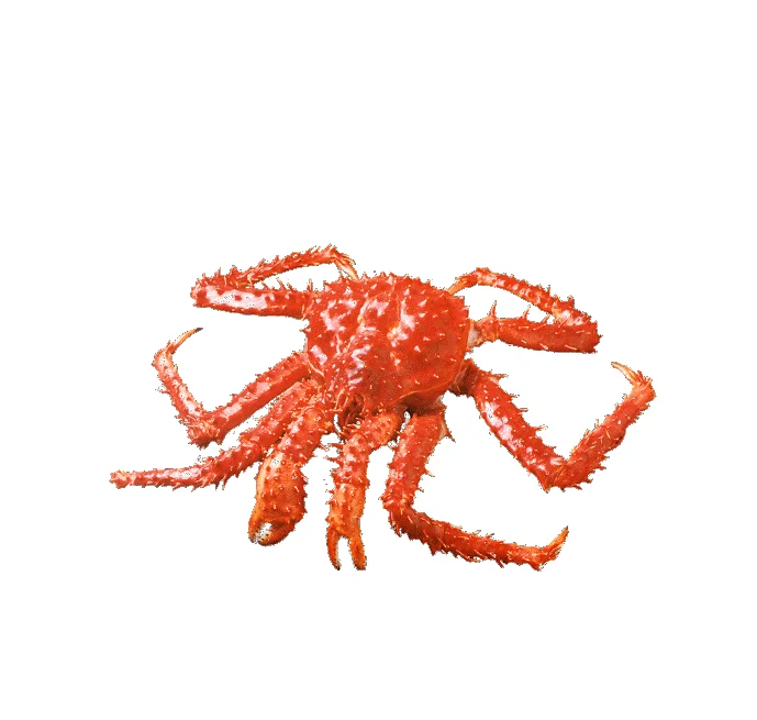 2 (2).png