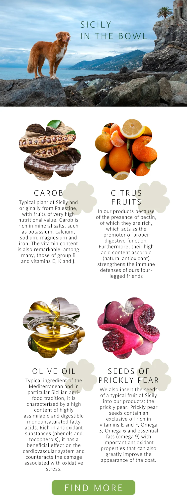 Made In Italy Highlydigestible Proteins Cat Food With Chicken And Rice