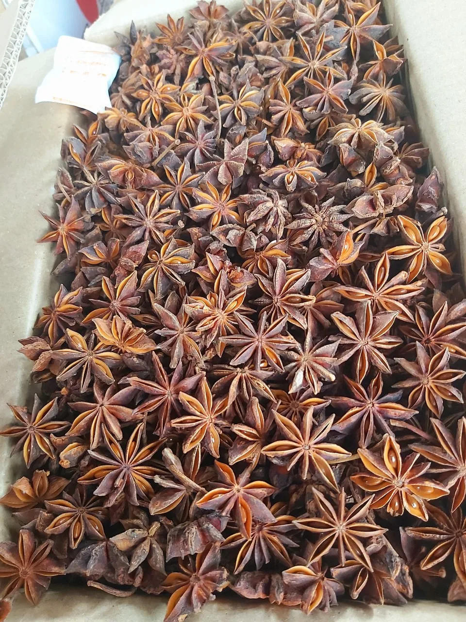 Organic Star Anise High Quality Tracy Cao 84 969 800 854 Buy Organice Star Anise Star Anise Sprices Star Anis Product On Alibaba Com