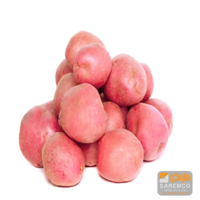fresh potato from pakistan (red potato)