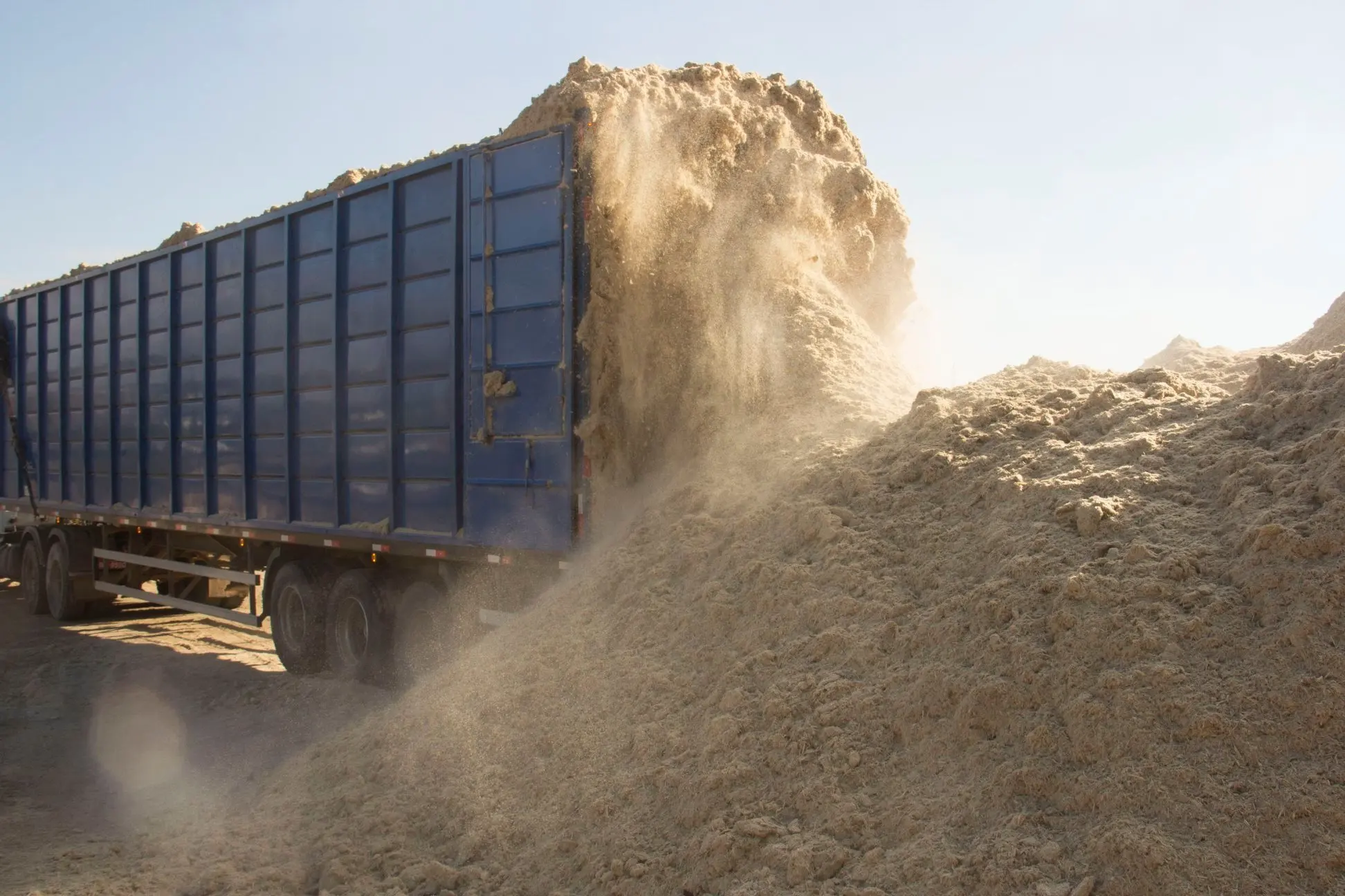 Agriculture Waste Sawdust For Sale In Bulk With Affordable Price Buy Wood Sawdust Dryer,Pine