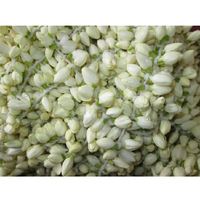 Jasmine String Fresh Flower For Decoration Quality Braid Hair Indian  Natural Hand Made Flowers Exporters Producers - Buy Jasmine String Fresh  Flower For Decoration High Quality Braid Hair Do Indian Natural Hand