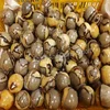 Honey Septarian