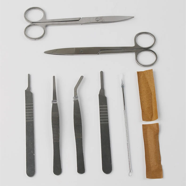 7piece Stainless Steel Dissecting Kit Biology Specimen Dissection Tool