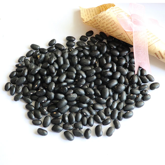 black beans good quality fresh chinese bag organic black matpe