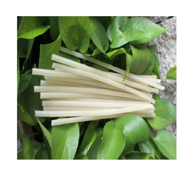 Vietnamese Biodegradable Rice Straw Eco Friendly Organic With Cheap ...