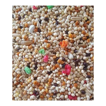 Premium Quality Bird Food Mix. Budgerigar Food. It is dust free. Hulled Millet Varieties and Vitamin Oats
