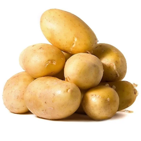 new crop fresh sweet potato wholesale price - buy fresh potato f