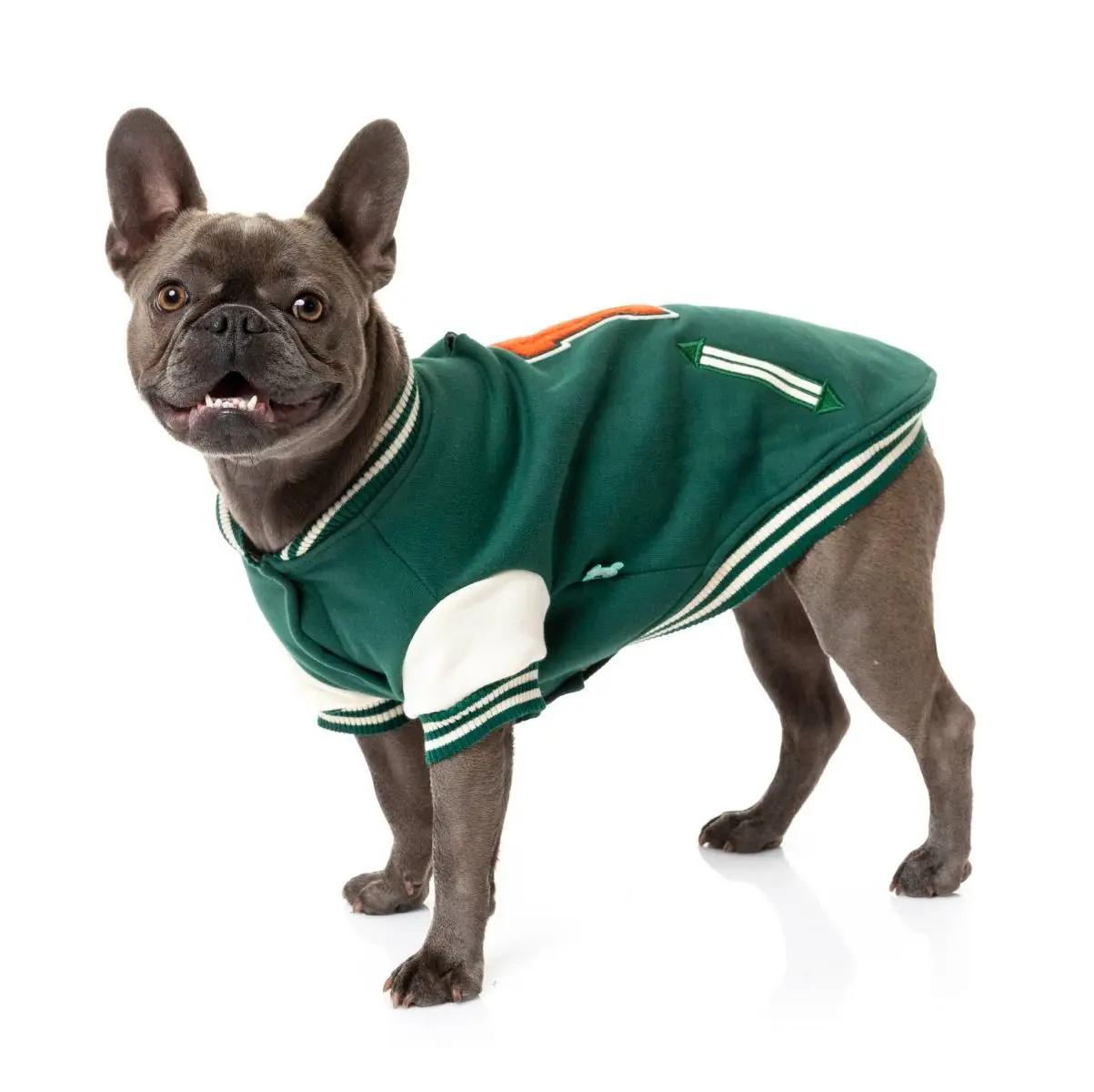 The Letterman Jacket Green Comfortable Adventure Jacket Pet Clothes
