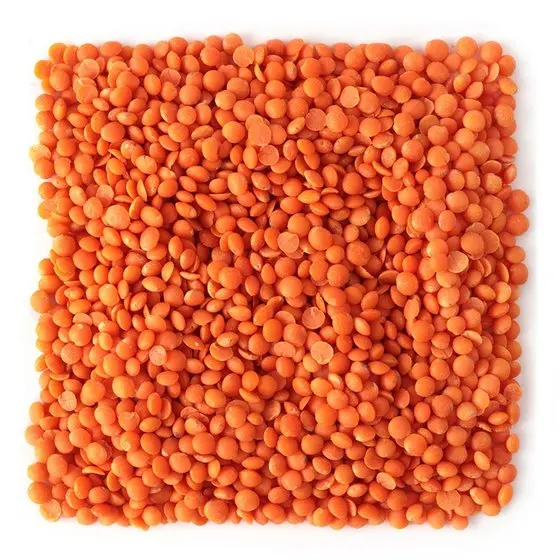 53 (1).jpeg