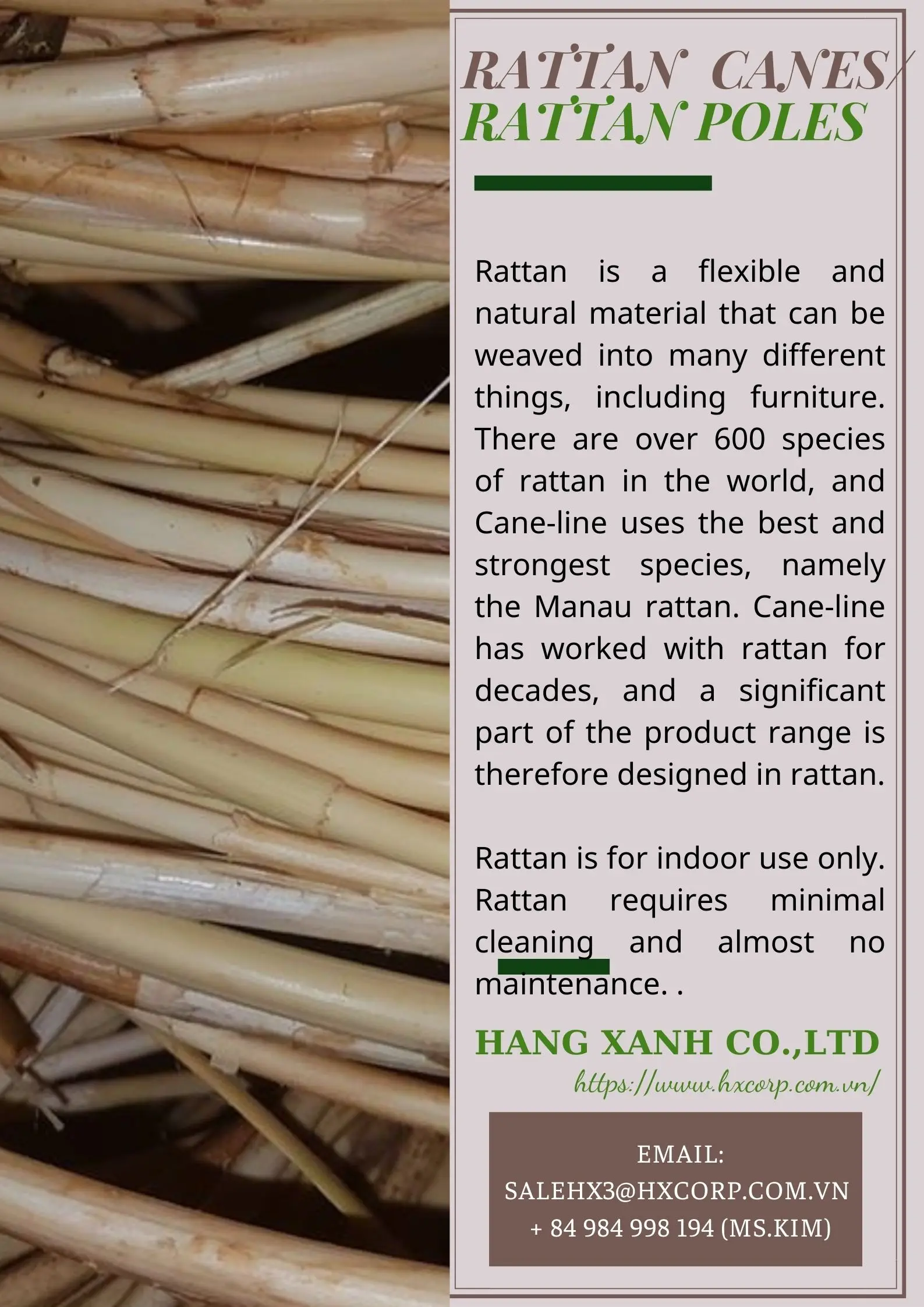 100 Natural Rattan Cane Pole With High Quality Material For Furniture