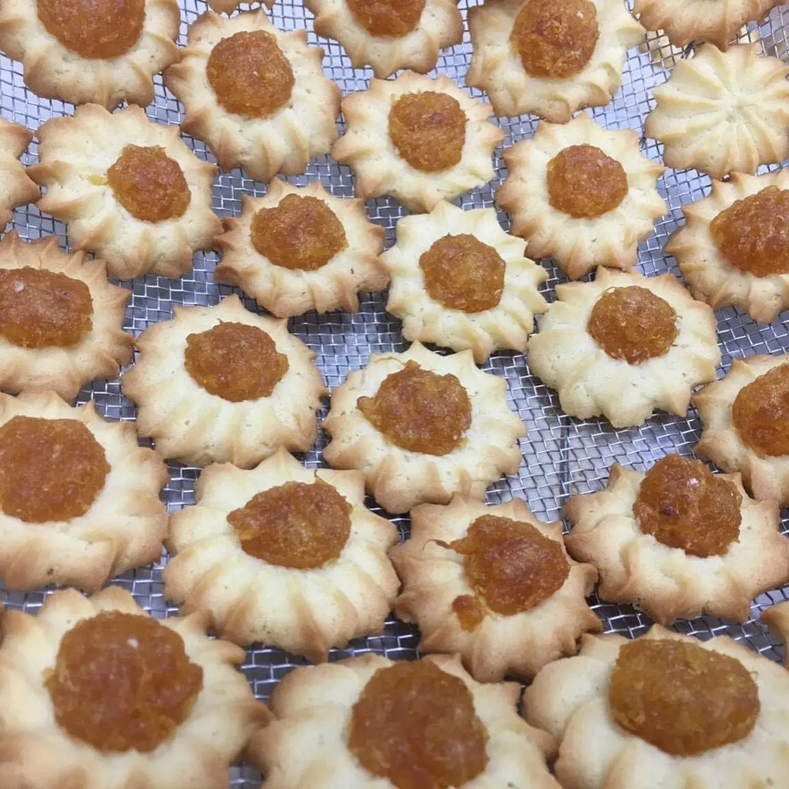 Вкусные морские печенья и жевательные