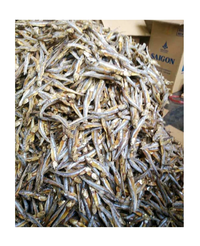 dry anchovy fish