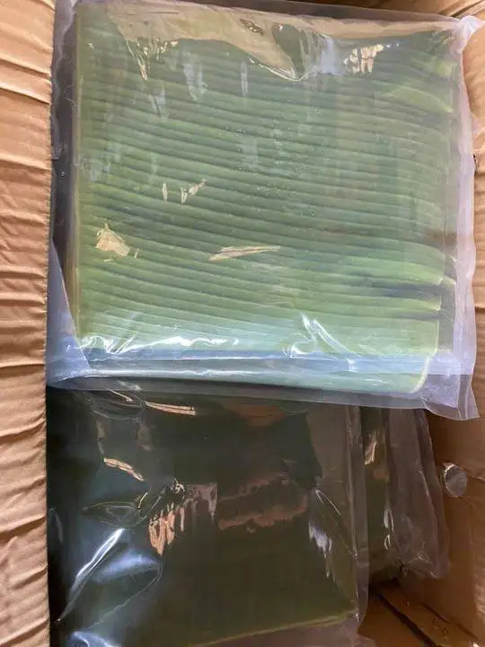 Вьетнамские Замороженные банановые листья свежие высокого качества + 84947900124