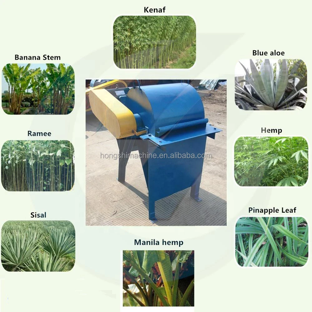 Decorticator Hemp Abaca Sisal Fiber Extraction Extracting Peeling