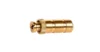 Natural Brass