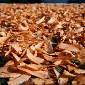 leaf.jpg
