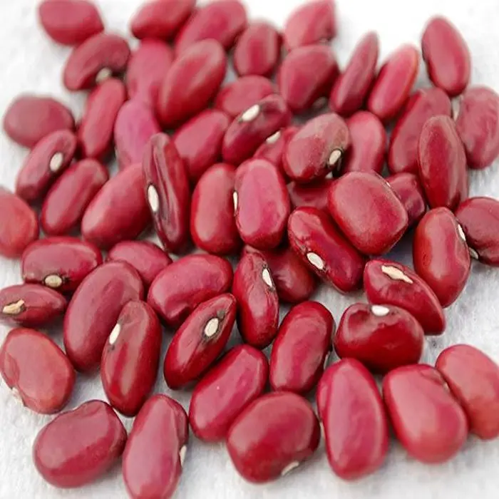 卸売赤インゲン豆バルク Buy バニラ豆キロ 大豆豆 エチオピア赤インゲン豆 Product On Alibaba Com