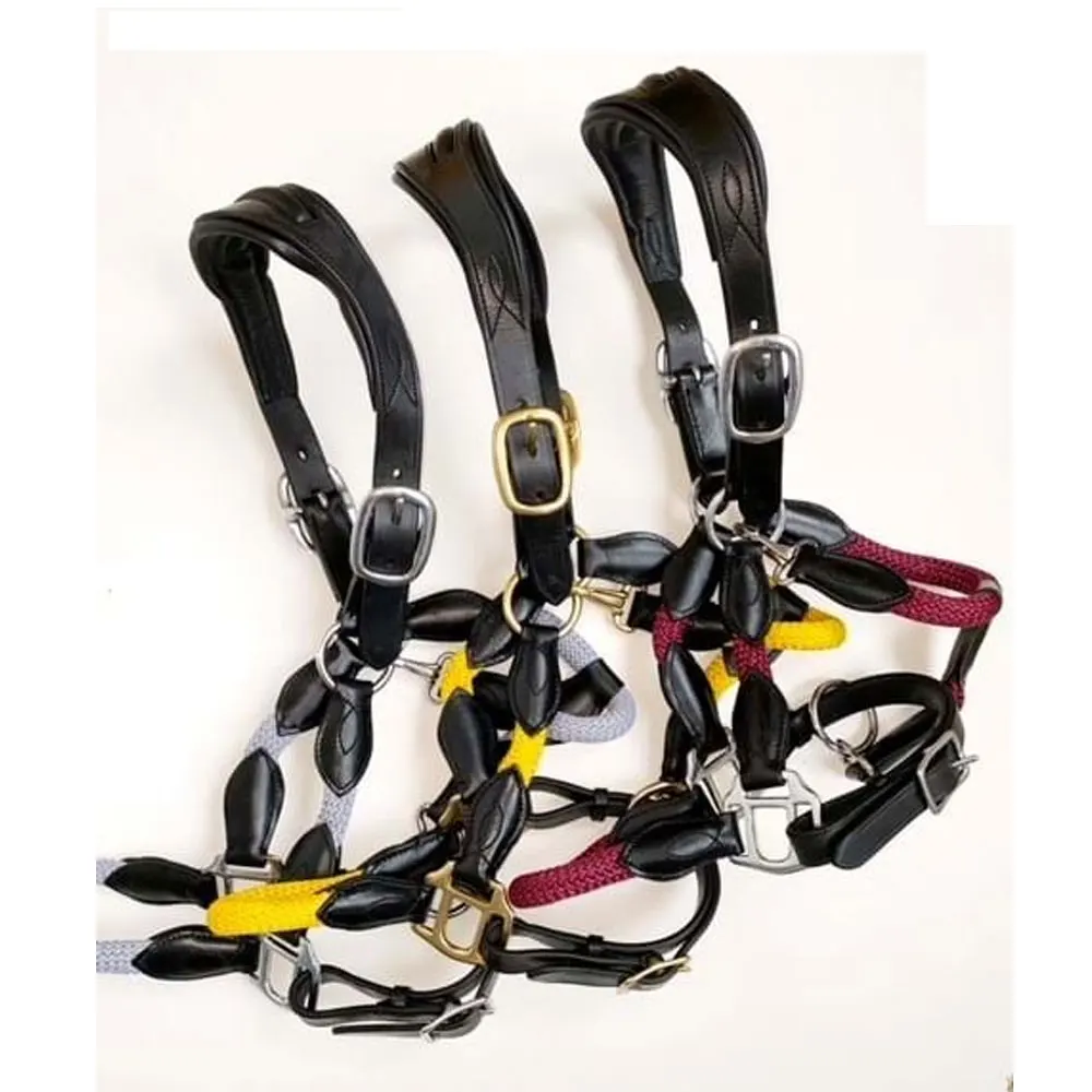 New Design Your Own Leather Head Collar Halter Padded Leather Horse ...