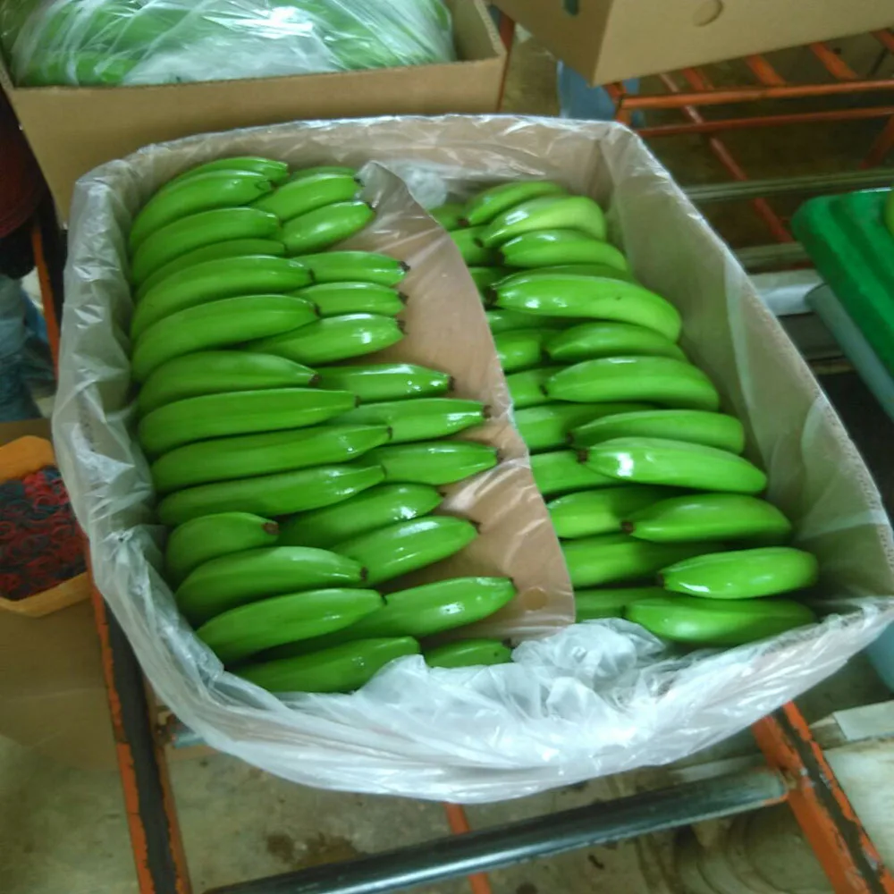 banana..jpg