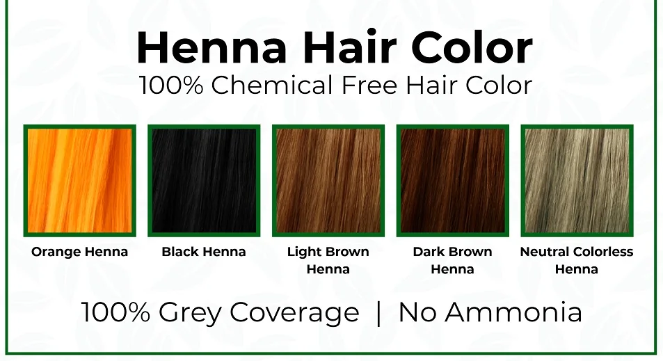 Best Herbal Natural Black Henna Powder Manufacturer & Exporters in India/No PPD