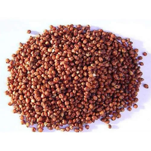 bulk red sorghum wholesaler at market price - buy sweet red