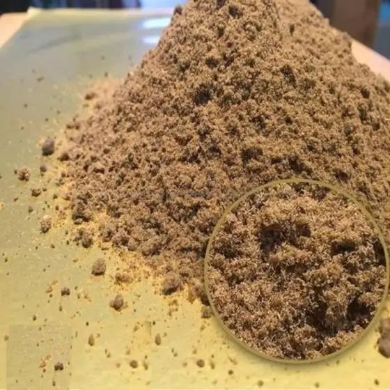 Fish-Meal.jpg