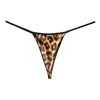 leopardo