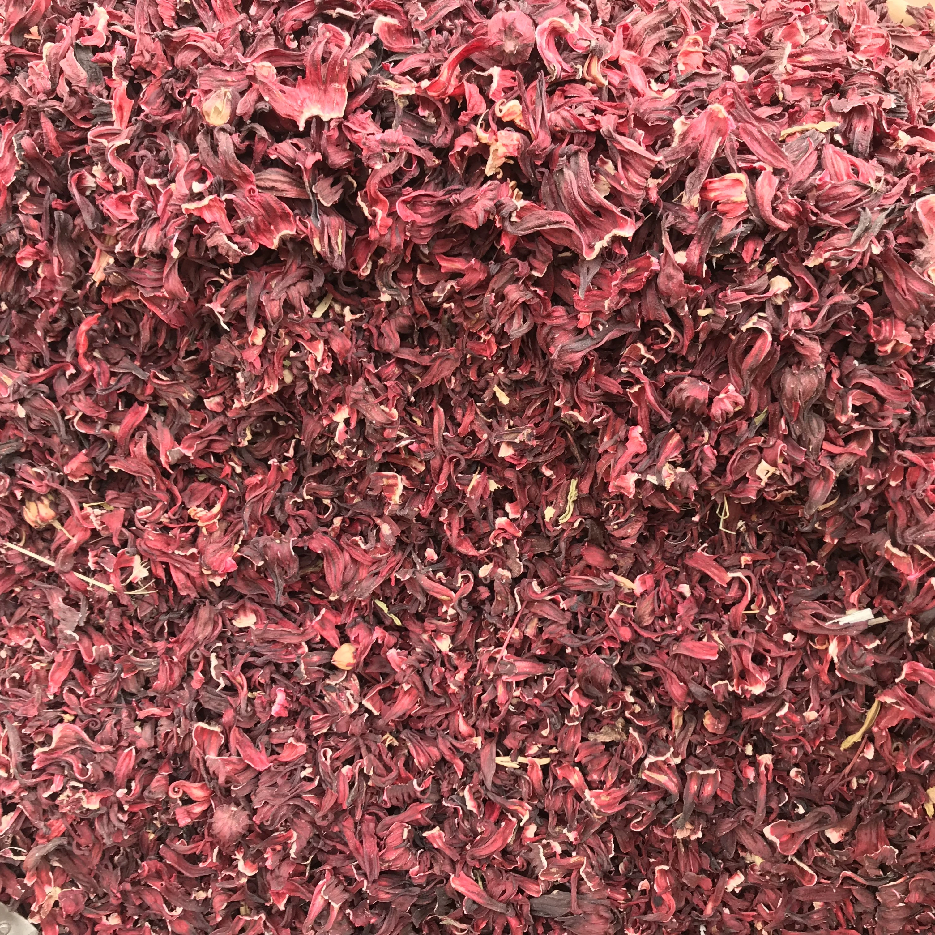 dried solid plants of hibiscus flower and beauty hibiscus tea