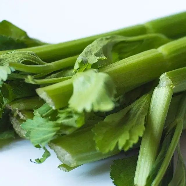 Organic Green Vegetables Wholesale Fresh Celery Buy Canned Celery