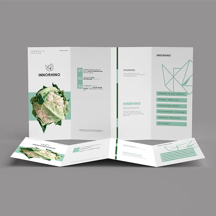 G3-01-03 2021 Custom printing company Folded leaflet booklet pamphlet brochure catelogue