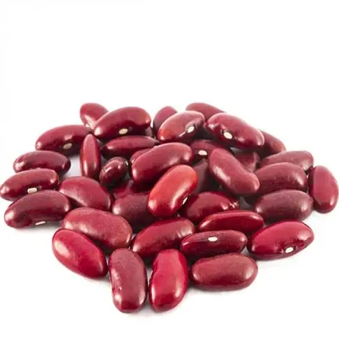 nederlag kærtegn Snavset Factory Sale Red Kidney Beans Price Per Ton Farm Bean Red Kidney Beans Low  Price - Buy Types Of Kidney Beans,Red And White Kidney Beans For Sale,White Kidney  Bean Product on Alibaba.com