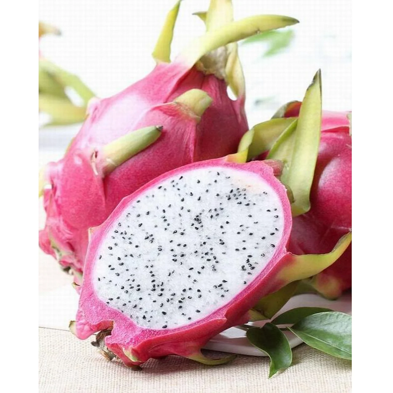 fruits fresh red dragon fruit ( whatsapp/zalo/wechat:  84 912