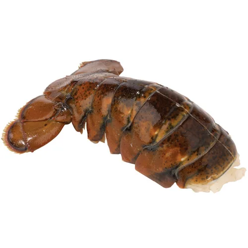 crawfish1.jpg