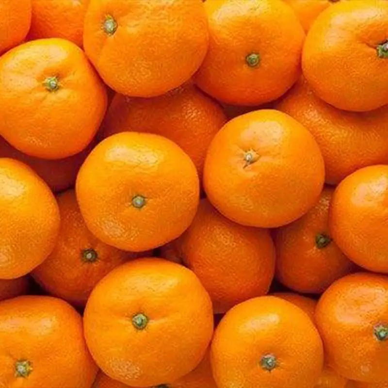 Базовая поставка органических фруктов оранжевого цвета