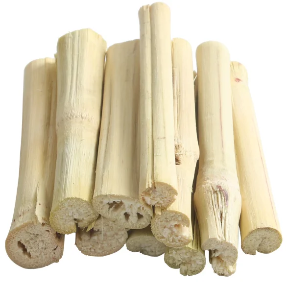 dried sugarcane sticks