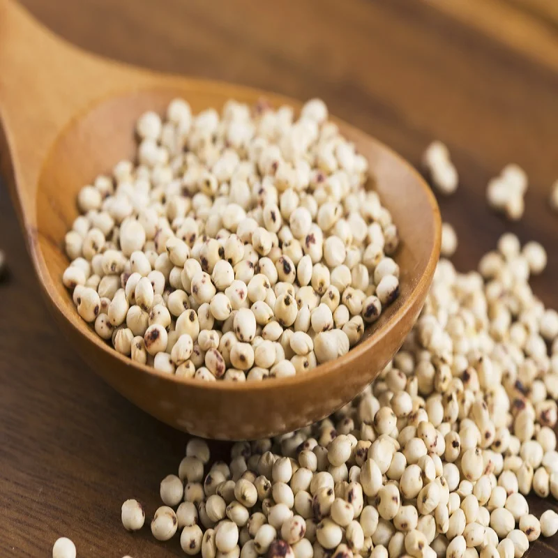 Sorghum grain.jpg