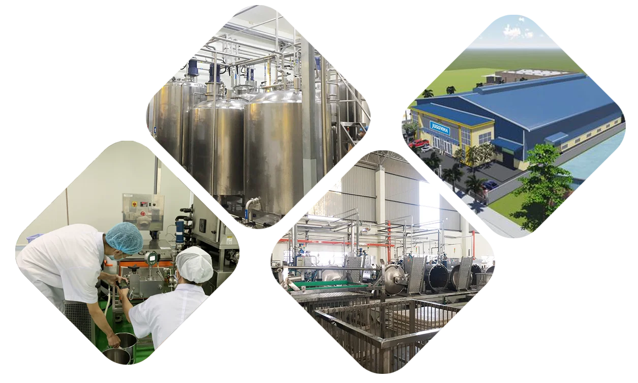 100 Fresh Fruit Beverage Grape Drink Professional Concentrated Grape