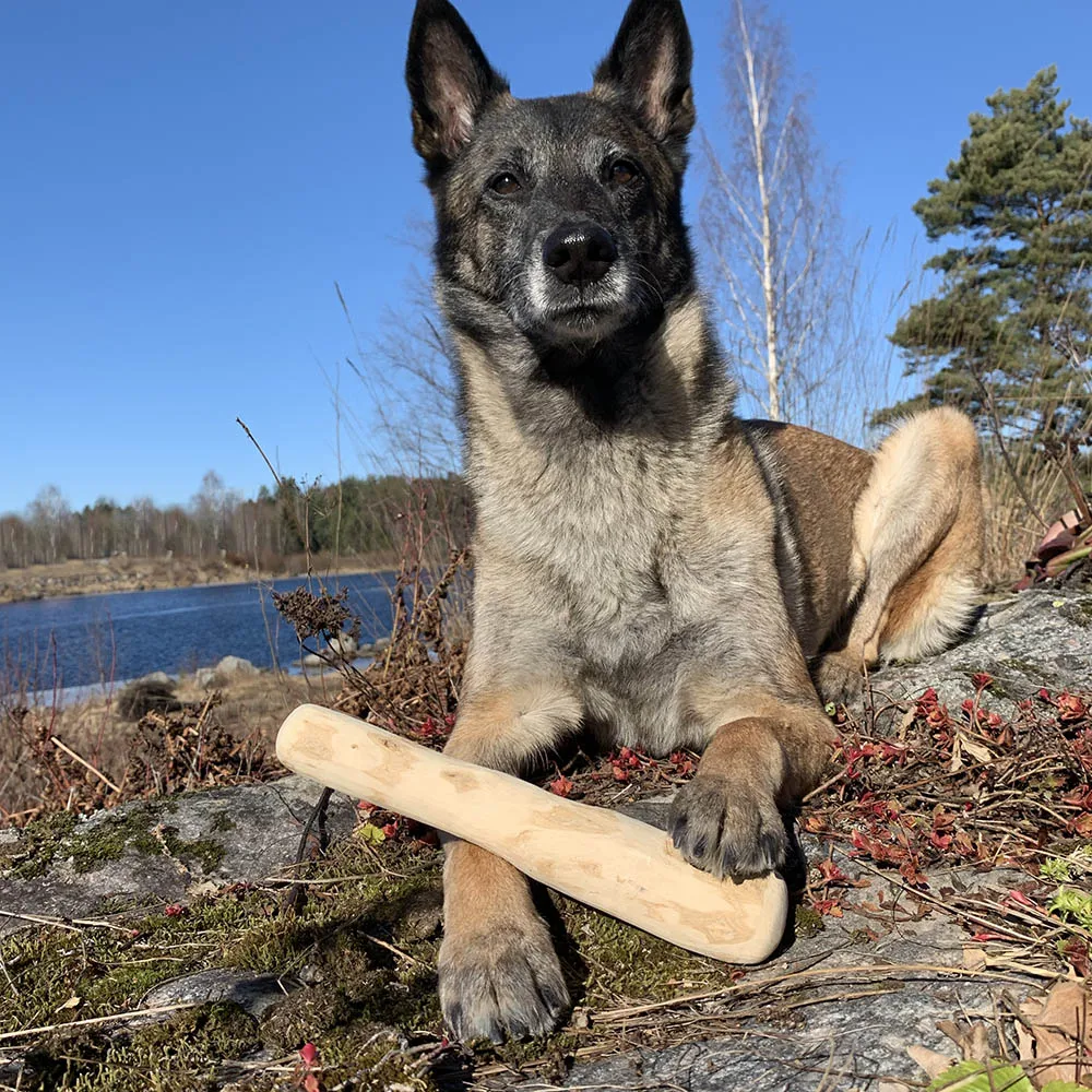 从天然咖啡植物中购买茱萸木条 Vivian Ha N 84 33 462 Buy 木质宠物玩具 咖啡咀嚼玩具狗 咖啡木材咀嚼玩具狗 咖啡木材狗玩具狗咀嚼玩具