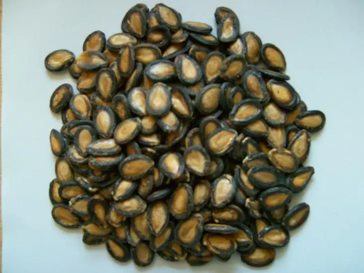 black-watermelon-seeds.jpg