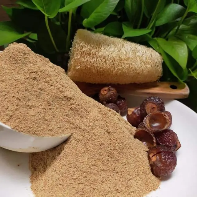 SOAP NUT POWDER BEST PRICE in BULK ORGANIC SOAP NUT EXTRACT POWDER for NATURAL DETERGENT BEST PRICE//MS.RACHEL +84896436456