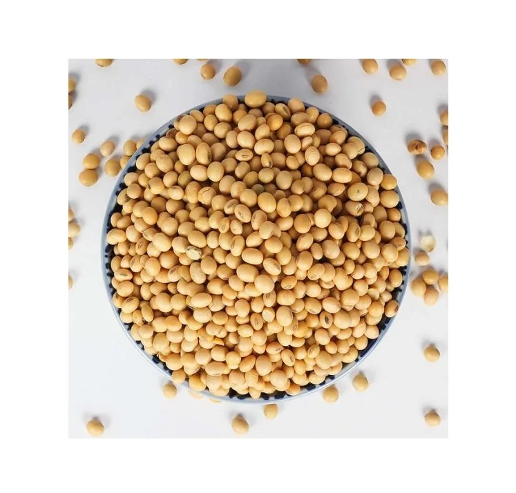 SOYBEANS.jpeg
