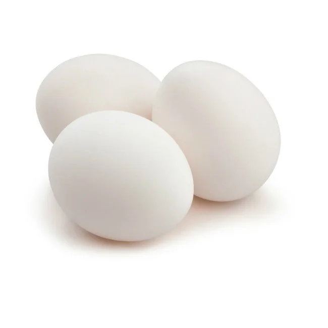 High Quality Fertile Hatching Chicken Egg/Fresh Chicken Table Eggs/Quail Eggs in turkey