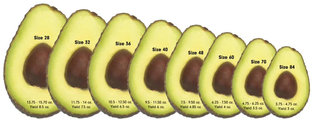 Aguacate fitness cetosis