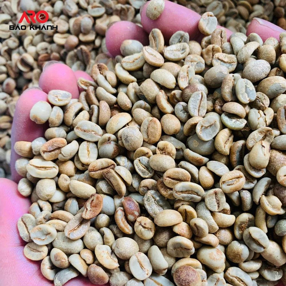 Top Selling Coffee Vietnamese Nespresso Capsule 100 Arabica 10x5.7g